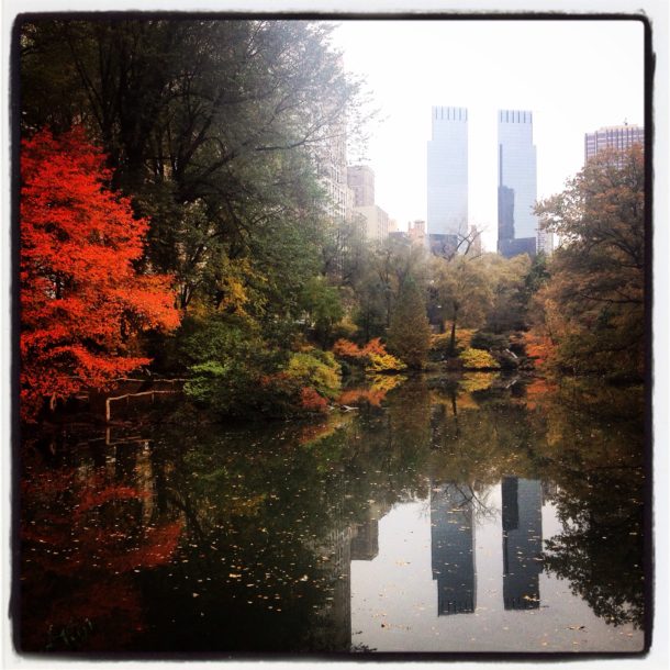 Autumn in Central Park, short guide|Simona Sacri travel blogger