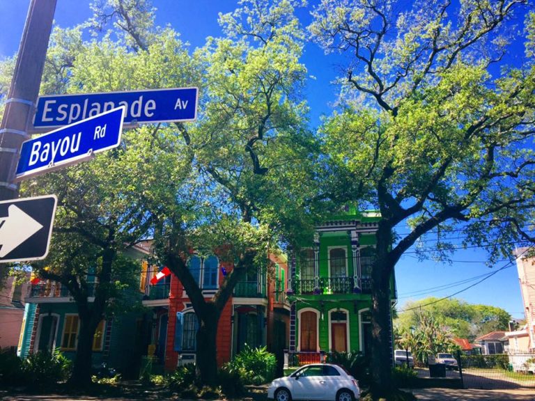 tour da chicago a new orleans